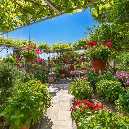 Pensionat Galic Mlini