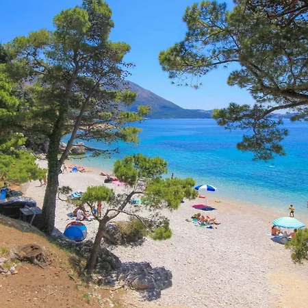 Pensionat Galic Mlini